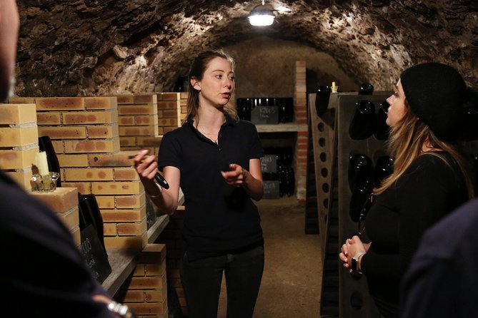 VIP Champagne Region Day Trip With 7 Tastings & Lunch From Paris - Culinary Delights