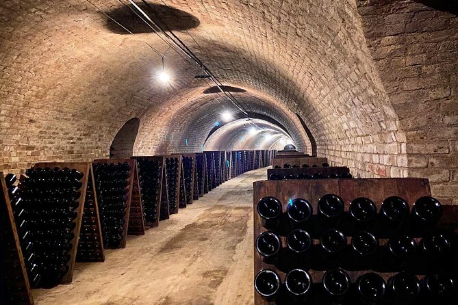 VIP Champagne Region Day Trip With 7 Tastings & Lunch From Paris - Traveler Testimonials