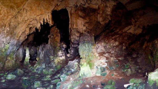 VIP Day Tour From Athens: Delphi & Nymphs Cave TREK - The Sum Up