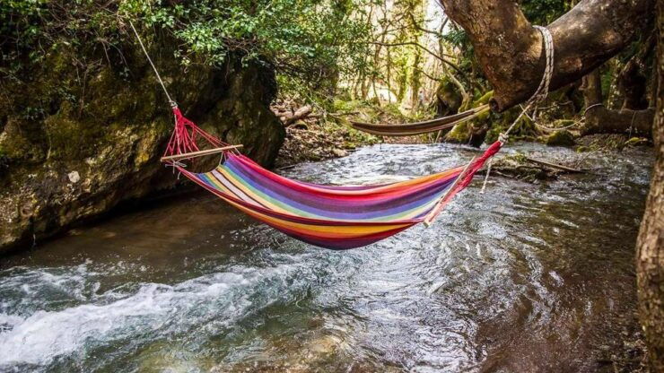 VIP Day Tour From Athens: Pavliani Forest Park TREK - Tour Details