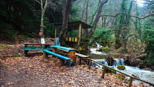 VIP Day Tour From Athens: Pavliani Forest Park TREK - Frequently Asked Questions