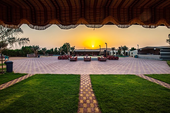 VIP Desert Safari, BBQ Dinner, Sandboarding, Camel Ride and Programs (sharing) - Exciting Activities to Experience