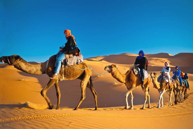 VIP Desert Safari Dubai - Authenticity of Reviews