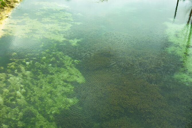 VIP ECO Adventure to Vortex Springs and Water Park All Included - An In-Depth Look at the VIP ECO Adventure