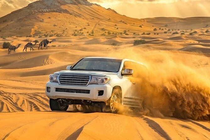 VIP Evening Desert Private Safari Tour in Dubai - Pickup Details
