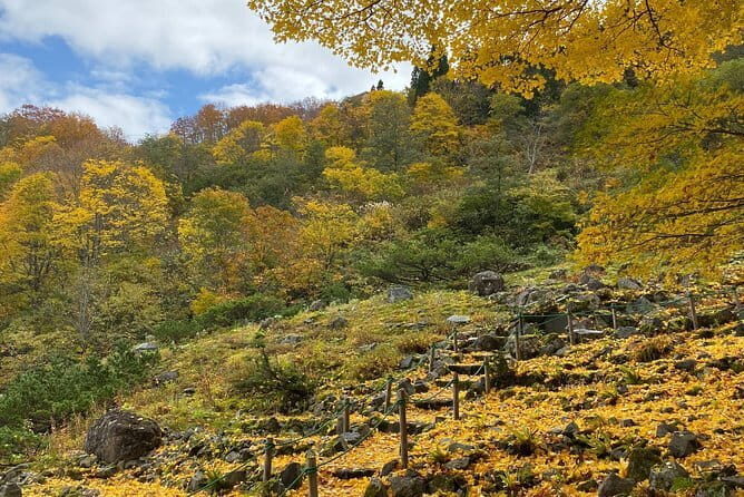 VIP Exclusive Hidden Niigata Tour with Artisans and Farmers - FAQ