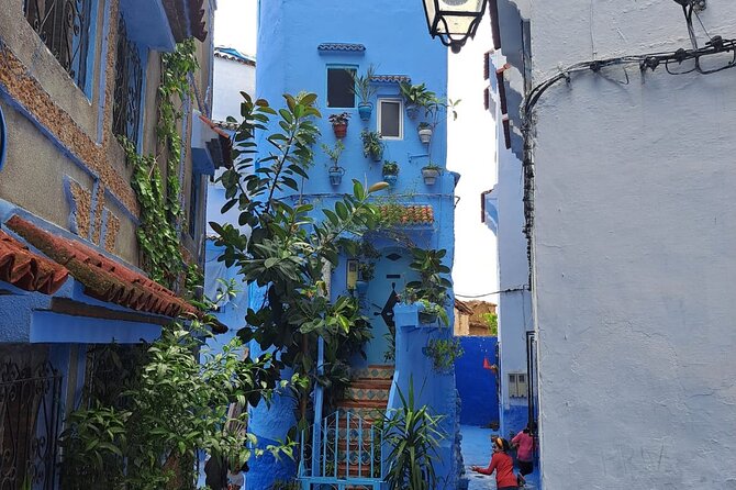 VIP Experience: "Blue City" of Chefchaouen and Tangier in One Day - Gastronomic Delights in Chefchaouen