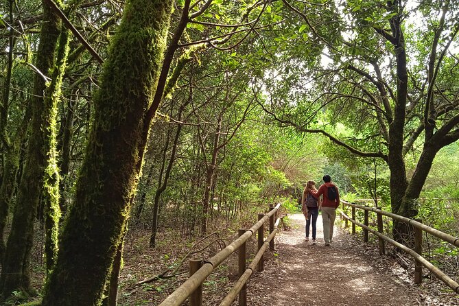 VIP Experience in Magica Gomera - Meeting and Pickup Information