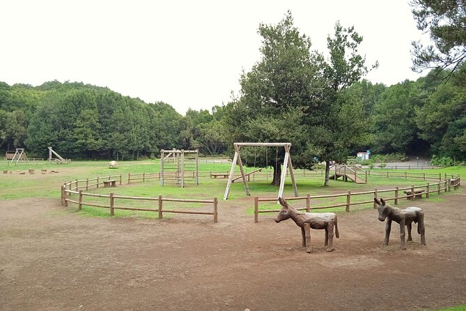 VIP Experience in Magica Gomera - Cancellation Policy