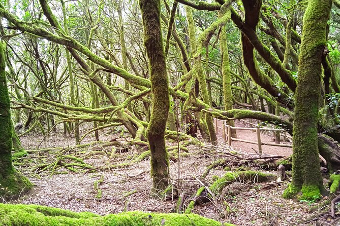 VIP Experience in Magica Gomera - Ferry and Transportation Details