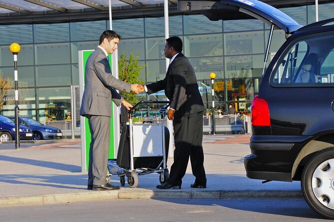 VIP Express Exclusive Aswan Airport Transfer - Drop-off Information