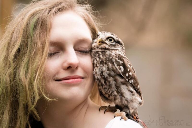 VIP falconry taster session - Experience the Sky: A Review of the VIP Falconry Taster Session in North Rhine-Westphalia