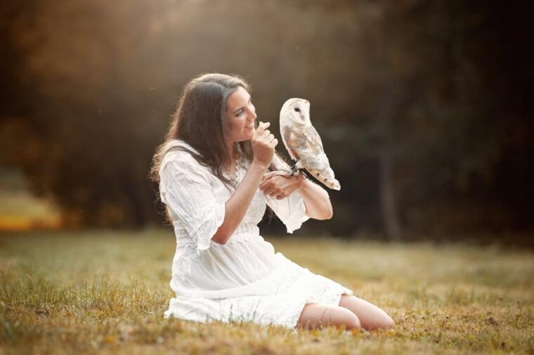 VIP falconry taster session - The Birds and Their Stories