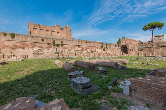 VIP Gladiator Entrance,Colosseum Forum and Palatine Hill Tour - Whats Included