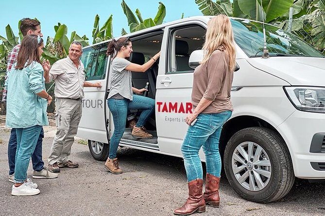 VIP Grand Tour Isla de Tenerife from South Tenerife - Good To Know