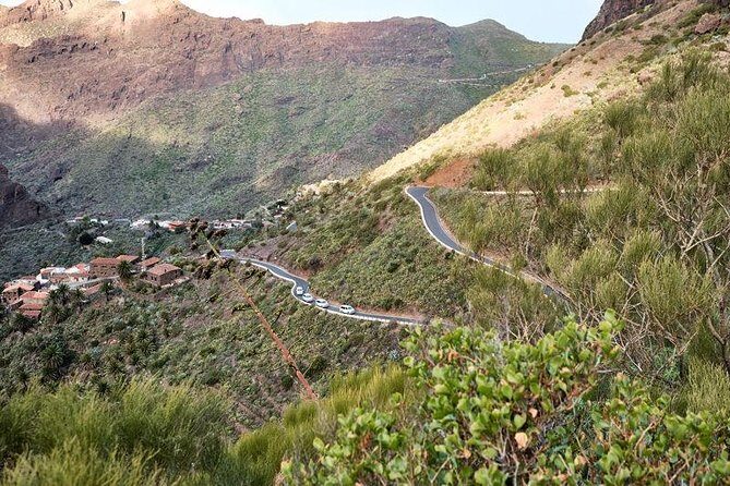 VIP Grand Tour Isla de Tenerife from South Tenerife - FAQ