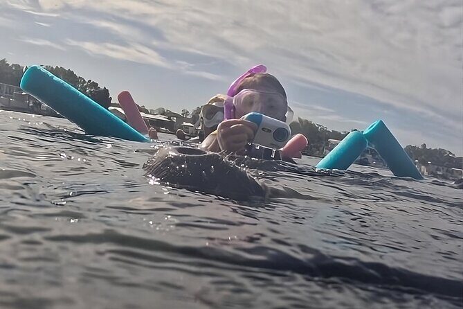 VIP Guided Swim with Manatee Tour Crystal River FL Free Photos - Overview of the Experience