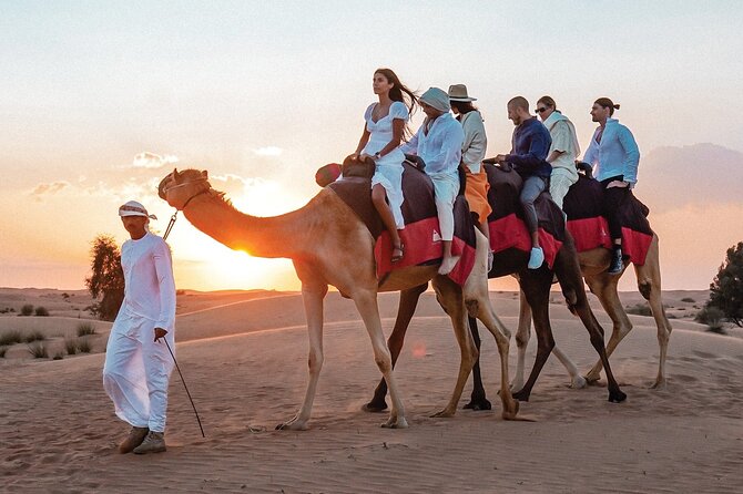 VIP Half Day Private Desert Safari in Dubai - VIP Safari Inclusions