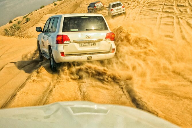 VIP Half Day Private Desert Safari in Dubai - Common Questions