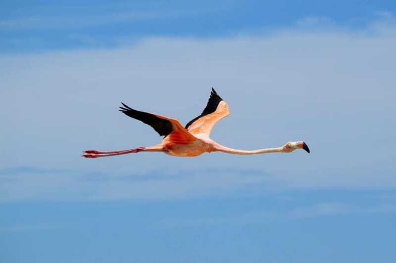 VIP Holbox Island Sunrise - 2 Points + Fruit + Coffee - Final Thoughts