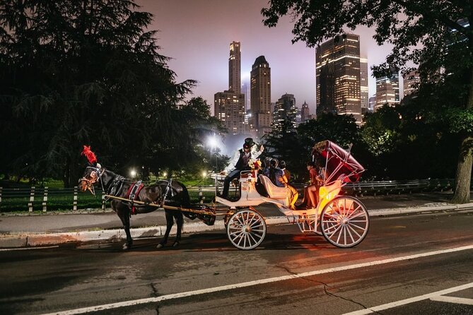 VIP Horse Carriage Ride Through Central Park (Up to 4 Adults) - Cancellation Policy