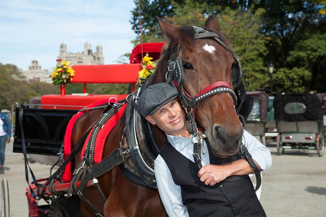 VIP Horse Carriage Ride Through Central Park (Up to 4 Adults) - Pricing and Additional Information