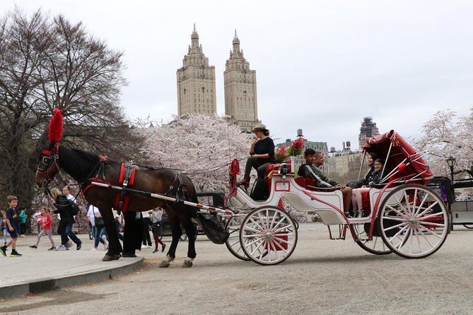 VIP Horse Carriage Ride Through Central Park (Up to 4 Adults) - Background