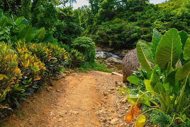 Vip La Hacienda Park Tour - Good To Know