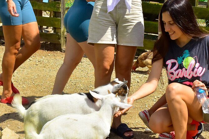 Vip La Hacienda Park Tour - What’s Included and How It Adds Value