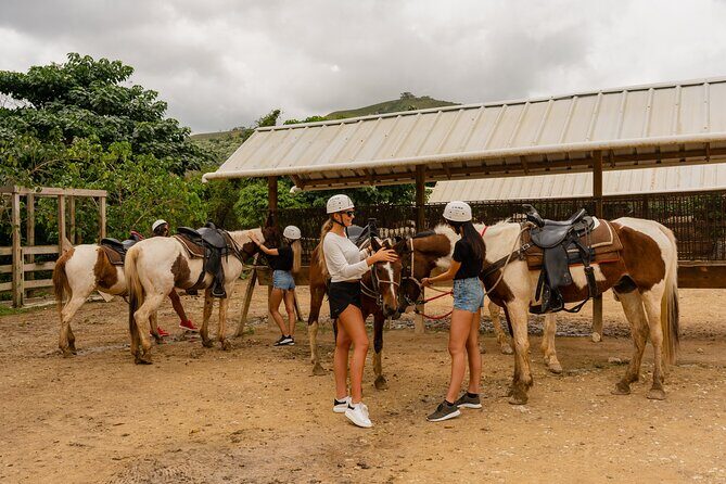 Vip La Hacienda Park Tour - Final Words