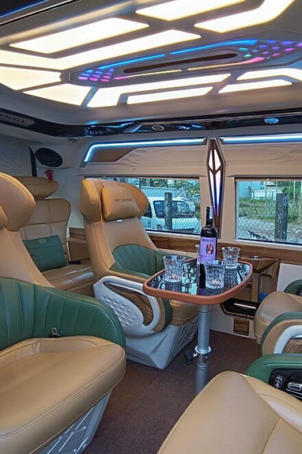 VIP Limousine - Target Audience