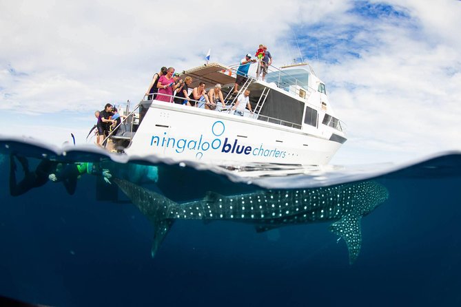 VIP Luxury Chartered Escapes, Exploring the Reef at Your Own Pace - Cancellation Policy and Refunds
