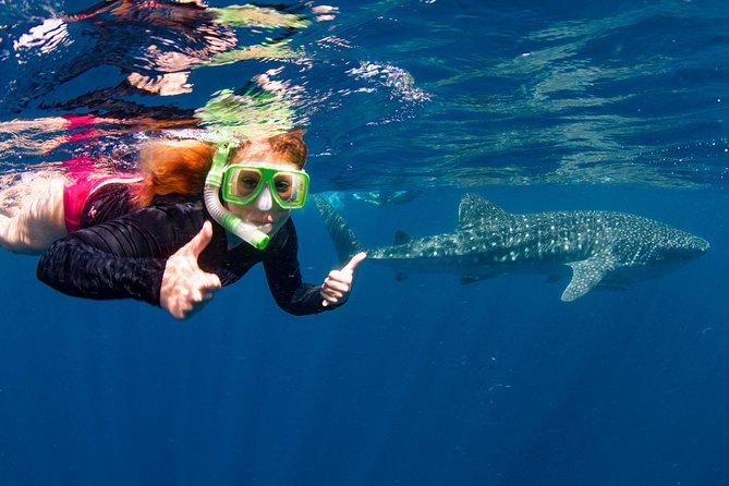 VIP Luxury Chartered Escapes, Exploring the Reef at Your Own Pace - Common Questions