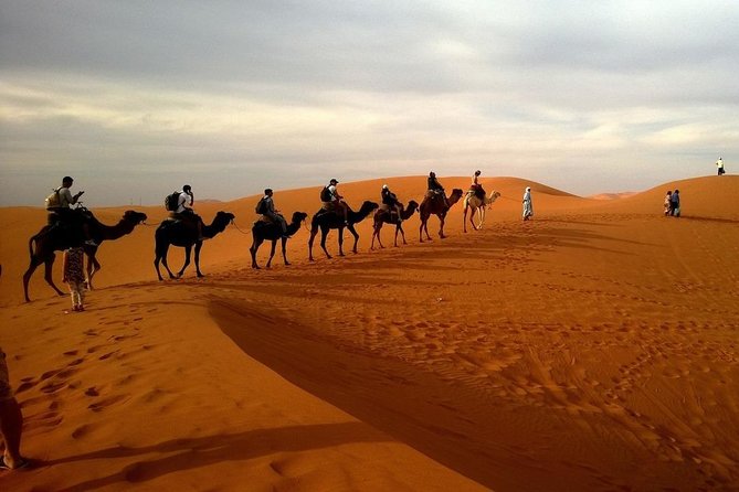 VIP Luxury Desert Safari With Live BBQ Dinner - Dinner