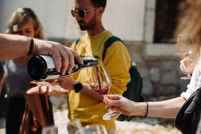 VIP Montmartre Walking Tour With Private Vineyard Wine Tasting - Sightseeing Highlights