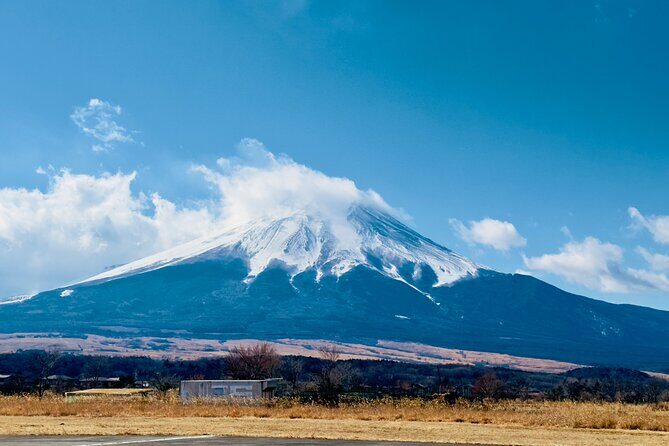VIP Mt. Fuji and Hakone Customized Private One Day Tour. - Valuable Tips for Travelers