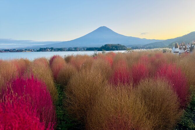VIP Mt. Fuji and Hakone Customized Private One Day Tour. - Who Would Love This Tour?