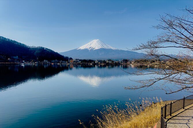 VIP Mt. Fuji and Hakone Customized Private One Day Tour. - Frequently Asked Questions
