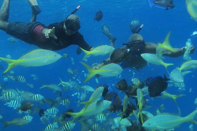 VIP Party Boat & Snorkeling - The Experience in Detail: What to Expect