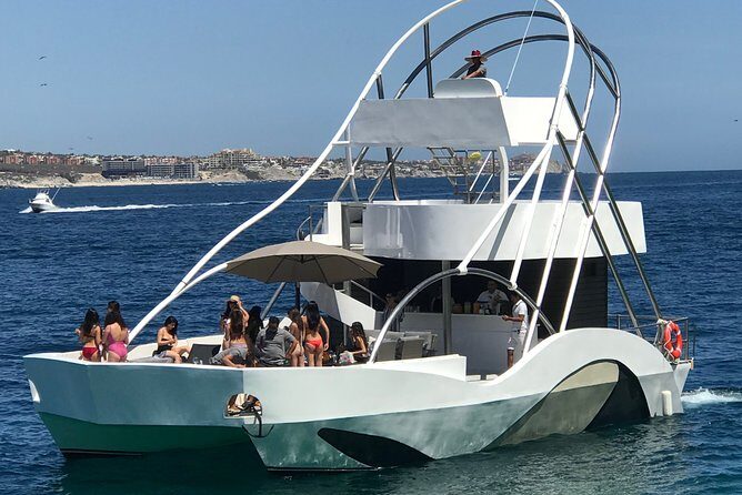 VIP Pelicano Tour - Who Is This Tour Best For?