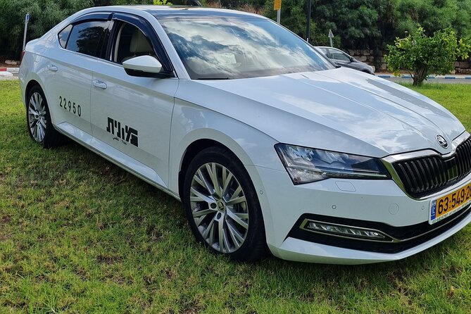 VIP Pickup From Ben-Gurion Airport to Tel Aviv - Good To Know