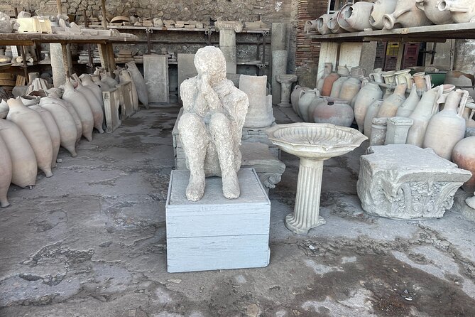 Vip Pompeii & Wine Tasting Tour From Positano All Inclusive - Booking Process & Availability