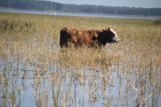 VIP Private Airboat Tour - Additional Information
