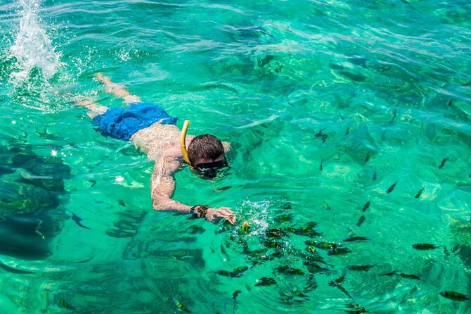VIP Private Boat to Phi Phi Island: Snorkeling Land Tour - Pricing