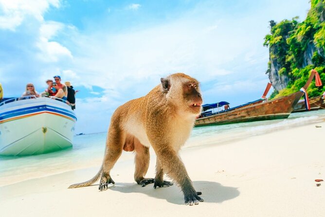 VIP Private Boat to Phi Phi Island: Snorkeling Land Tour - Directions