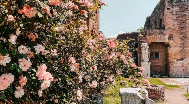 Vip Private Colosseum Tour With Roman Forum & Palatine Hill - The Sum Up