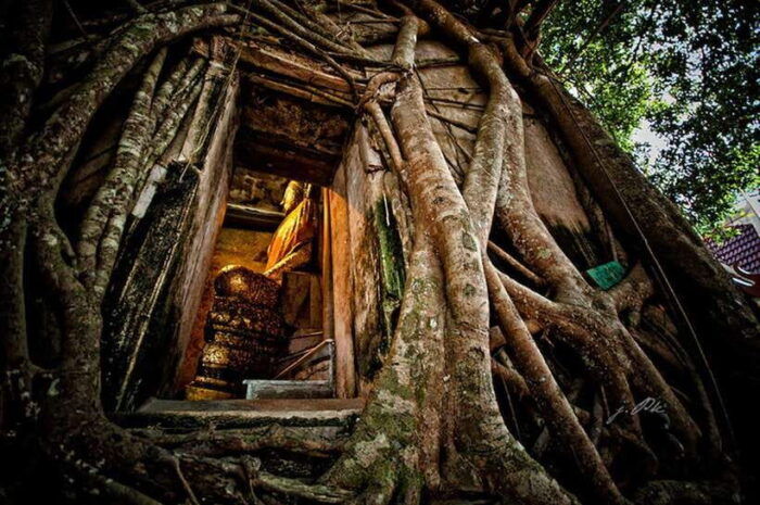 VIP Private Group Tour to the Iconic Thailands Markets - Inclusions and Exclusions