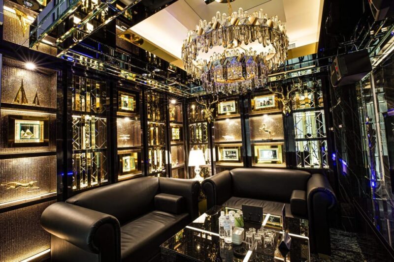 VIP Private Hostess Club Tokyo Night Life Karaoke with Girls - What This Experience Offers