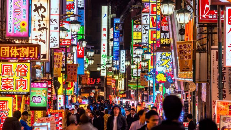 VIP Private Hostess Club Tokyo Night Life Karaoke with Girls - Who Is This Tour Best For?