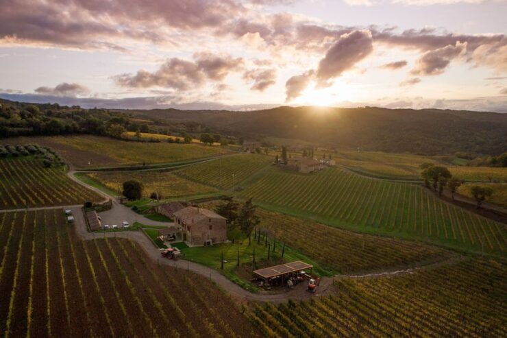 VIP Private Montalcino Wine Tasting in Paradiso With Dinner - Pricing and Duration